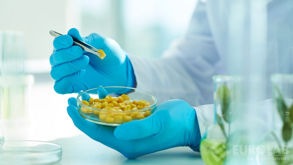 Eurolab Introduces Innovative Methods in Food Safety Testing