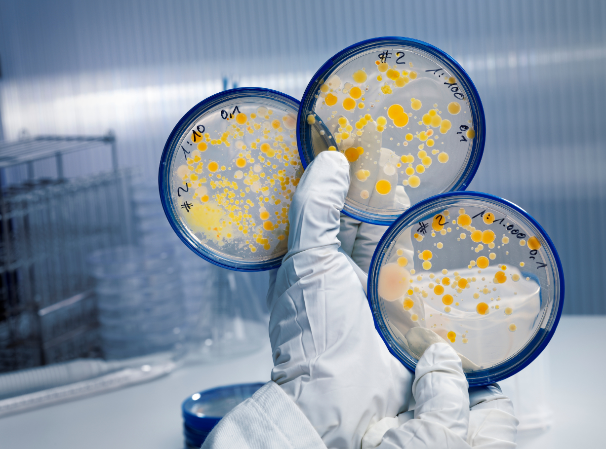 bioburden-recovery-studies