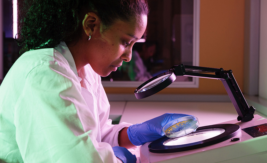 apha-microbiological-standards