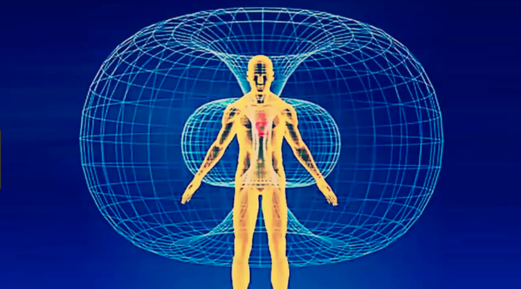 iec-62311-assessment-of-human-exposure-to-electromagnetic-fields
