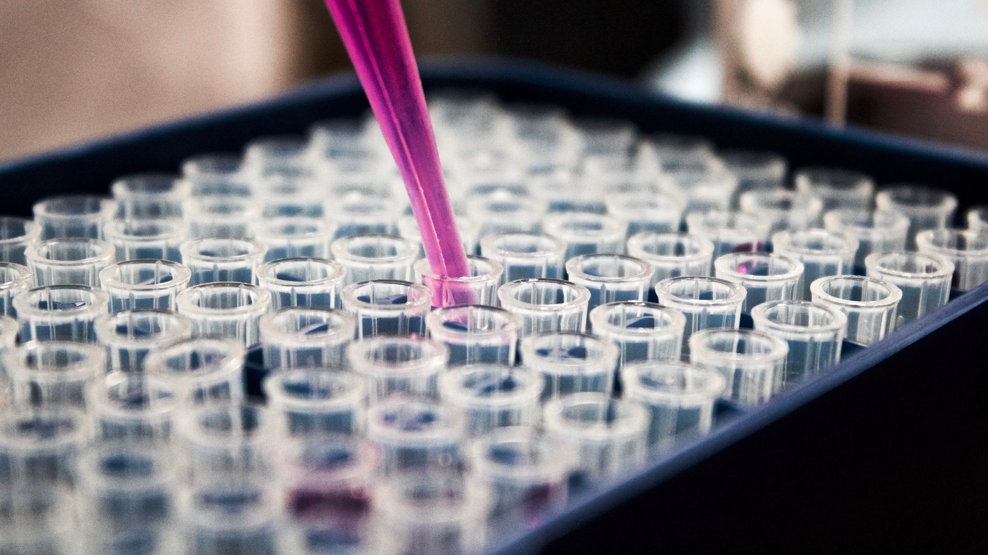 reach-svhc-substance-testing