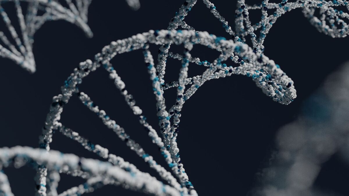 dna-fragmentation-cytotoxicity-test