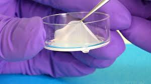 reconstructed-human-epidermis-rhe-test