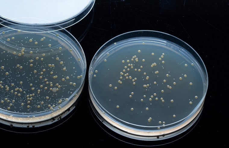 microbial-reduction-efficiency-test
