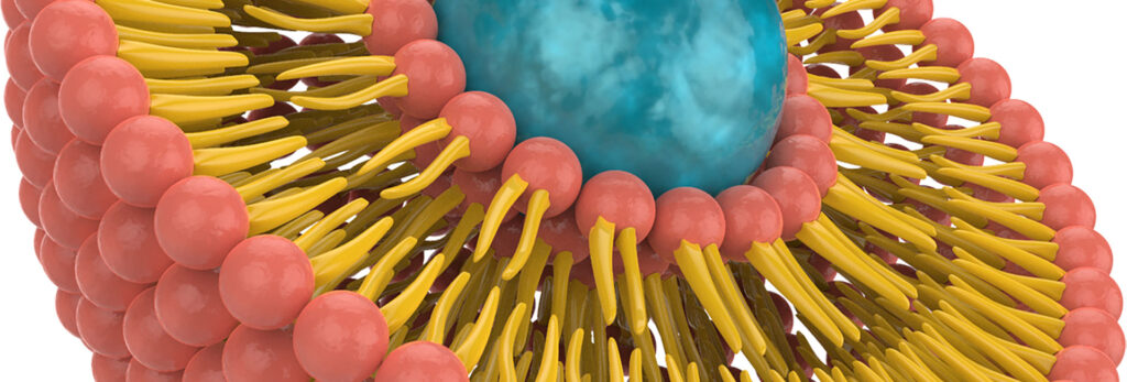 ema-guideline-on-stability-testing-for-liposomal-drug-formulations