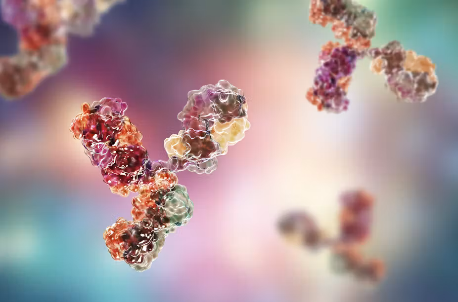 who-stability-of-monoclonal-antibodies-under-accelerated-conditions