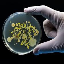 bp-appendix-xii-g-total-aerobic-microbial-count-in-liquids