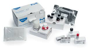 ep-monograph-04201320619-pyrogen-and-endotoxin-testing
