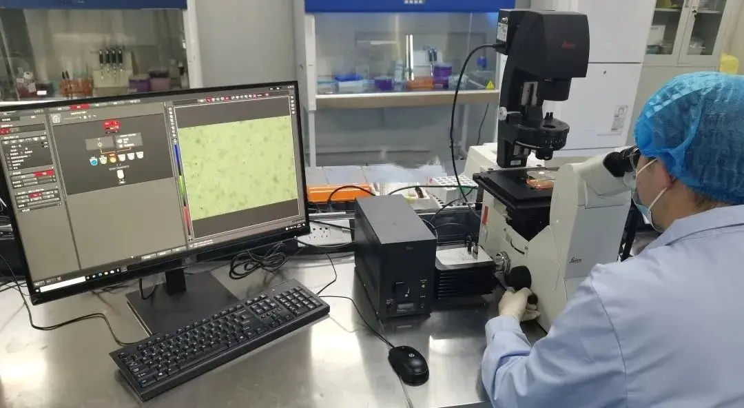 iso-18562-1-evaluation-of-bioburden-in-medical-devices-part-1