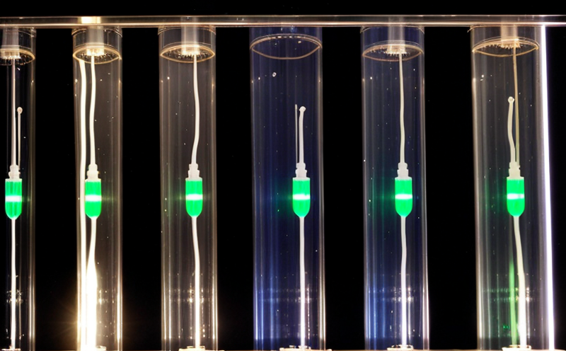 microfluidic-systems-for-gmo-detection