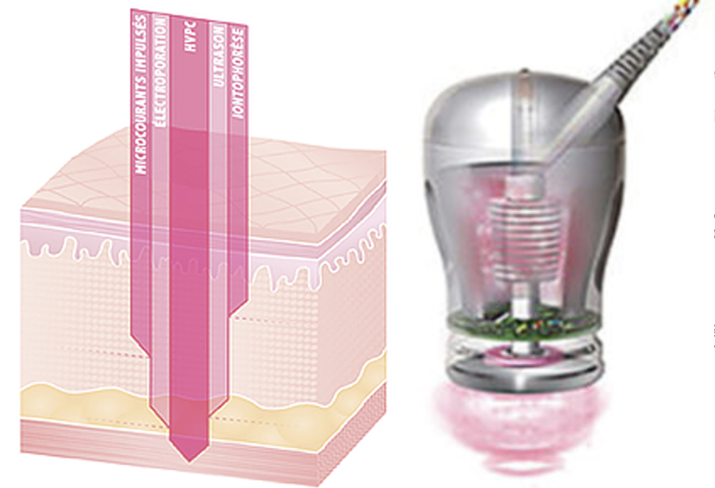 dermal-electroporation-studies-for-skin-penetration