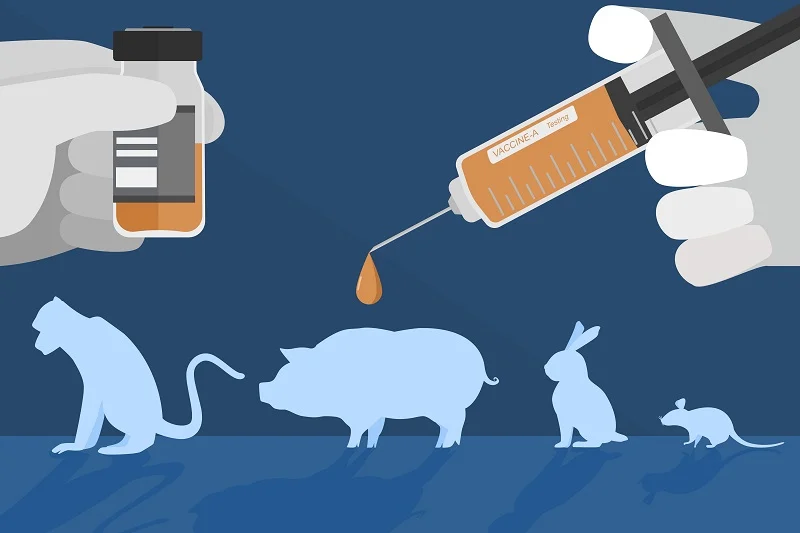 limited-relevance-of-animal-testing-for-human-skin-responses