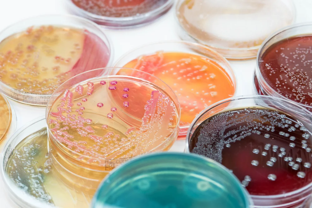 selective-media-for-pathogen-testing
