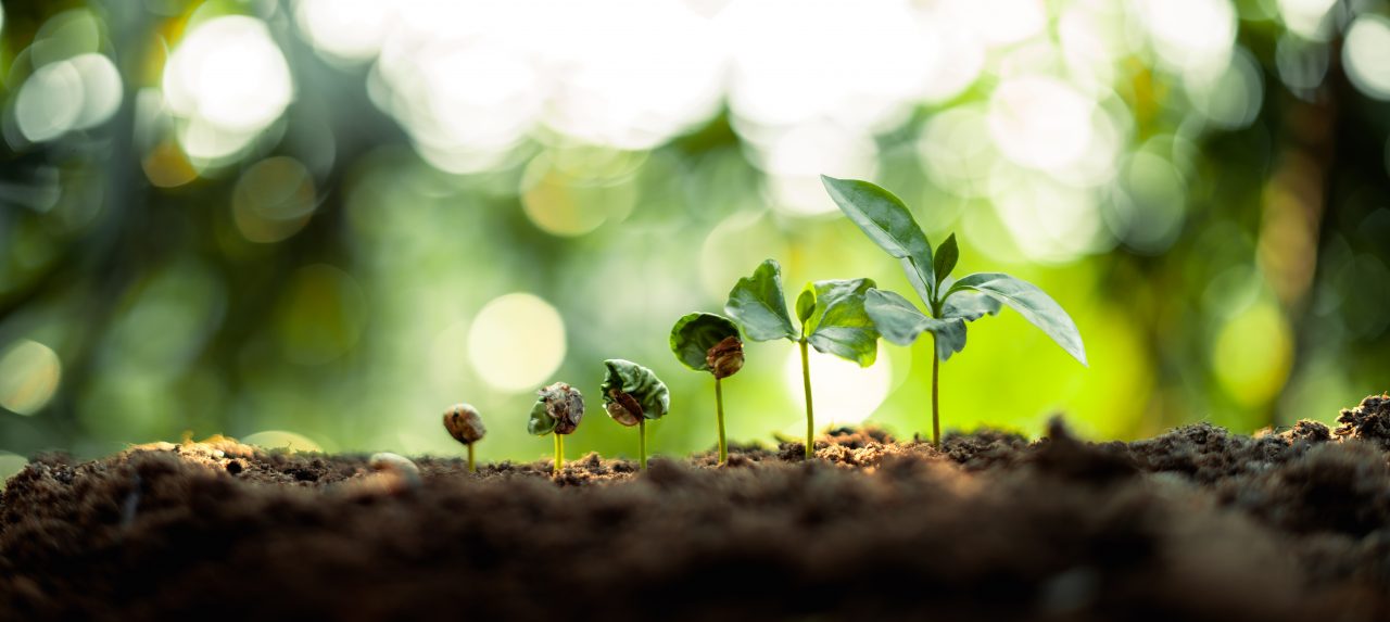 input-output-life-cycle-assessment-io-lca