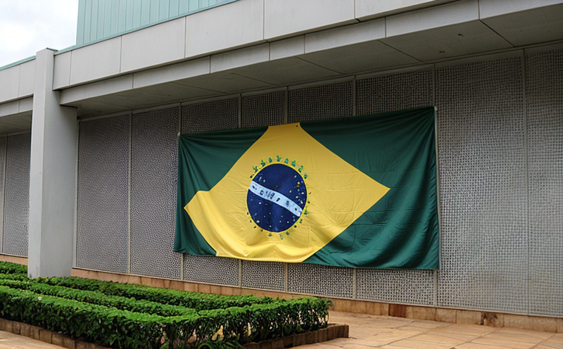 brazil-s-national-biosafety-technical-commission-guidelines
