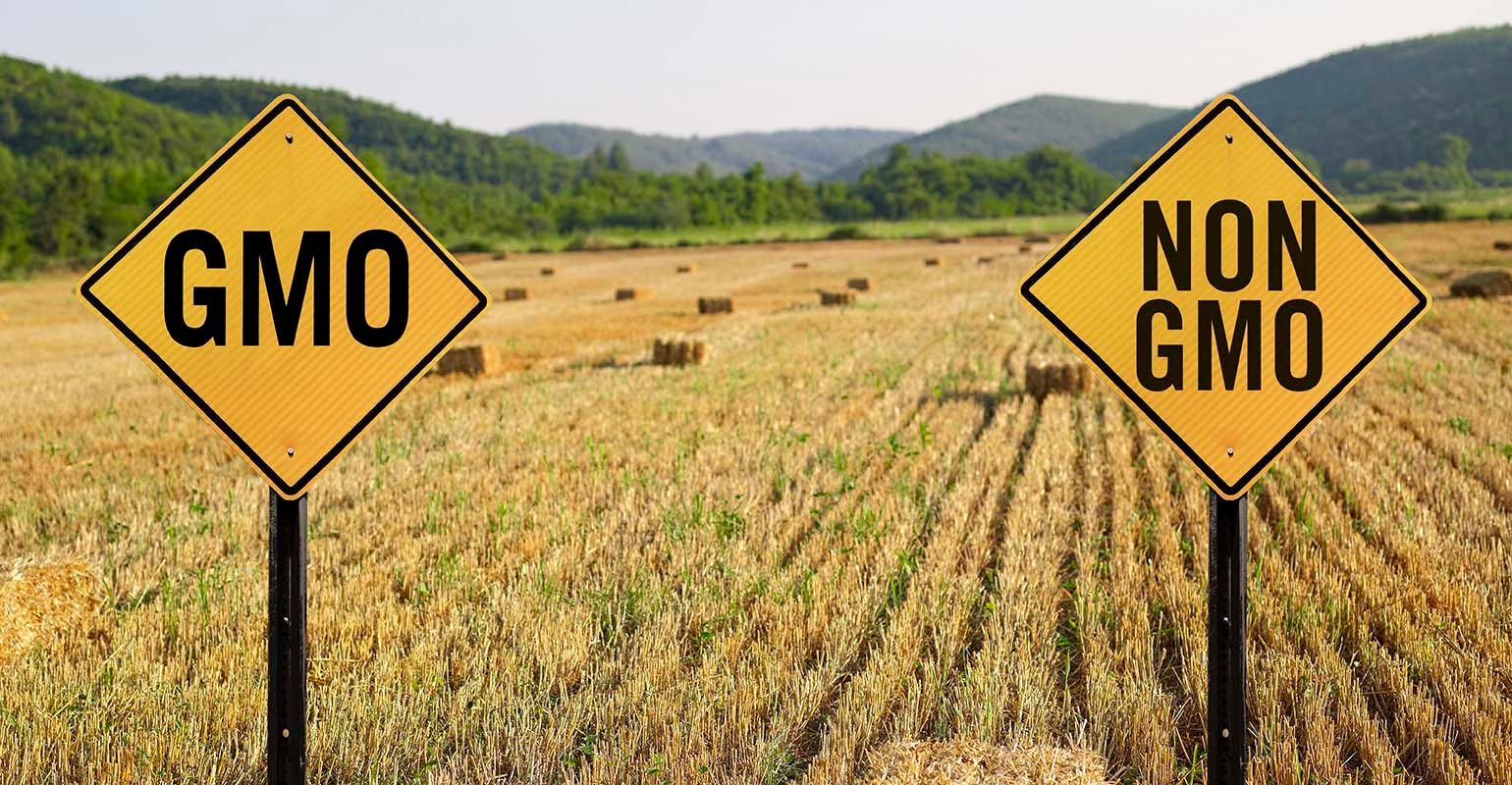 nutritional-impact-of-gm-foods