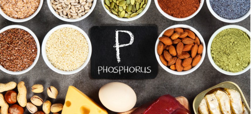 aoac-99914-phosphorus-content-testing-for-nutrition-claims