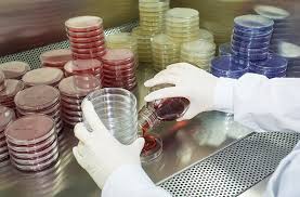 ep-2612-enumeration-of-microorganisms-in-preserved-products