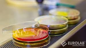 iso-17516-microbiological-limits-for-stability-studies