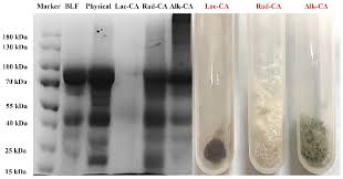 ep-2216-determination-of-ph-for-stability-evaluation