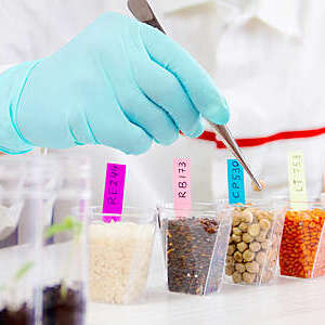 iso-11989-validation-of-microbiological-methods