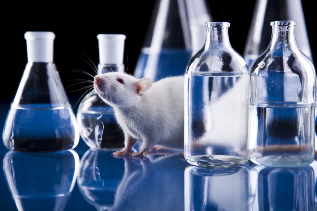 preclinical-animal-studies-for-early-phase-bioequivalence-testing