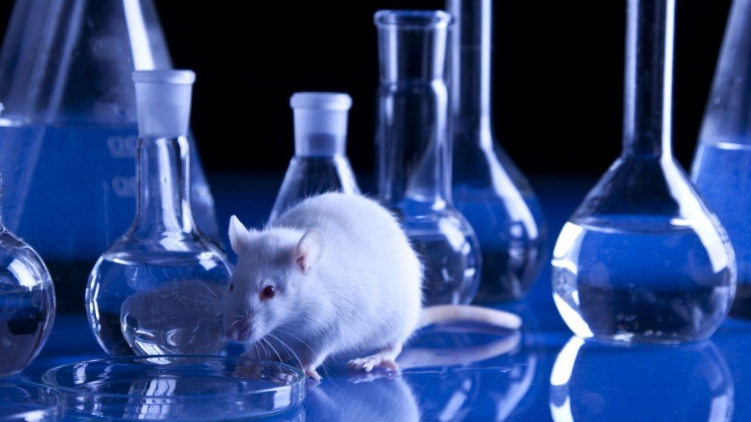 chronic-toxicity-effects-after-repeated-long-term-exposure
