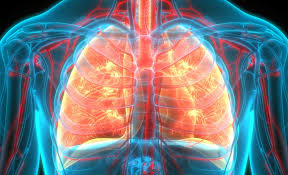 pulmonary-toxicity-lung-and-respiratory-effects