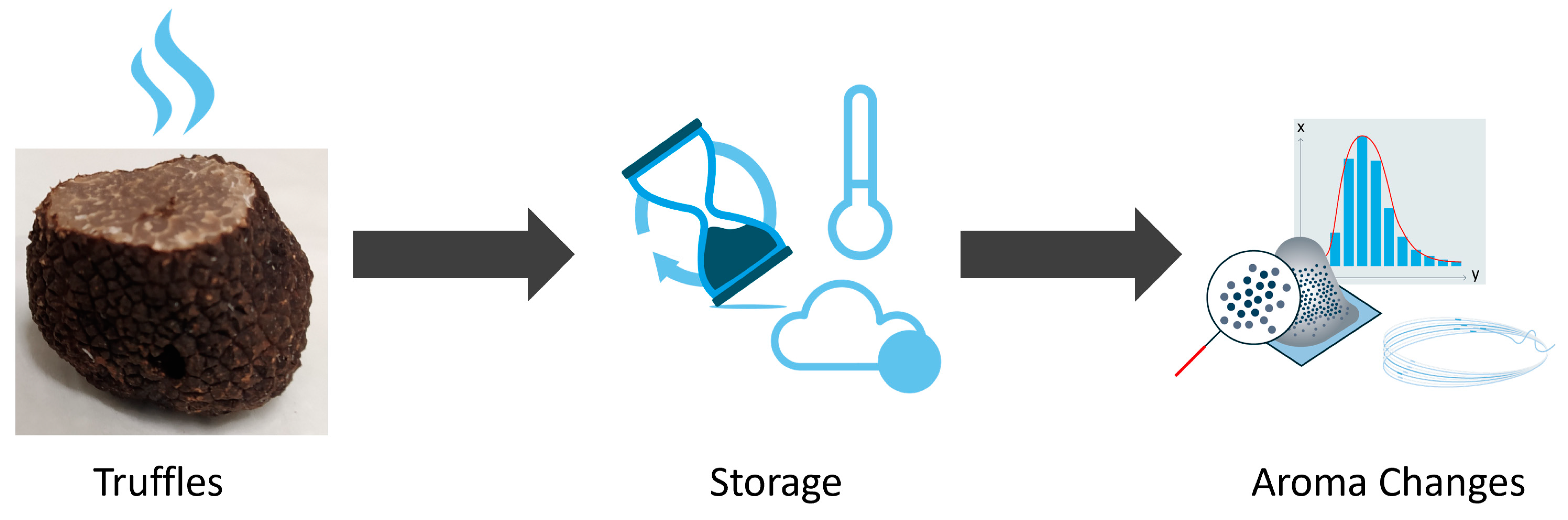 aroma-volatile-loss-during-storage