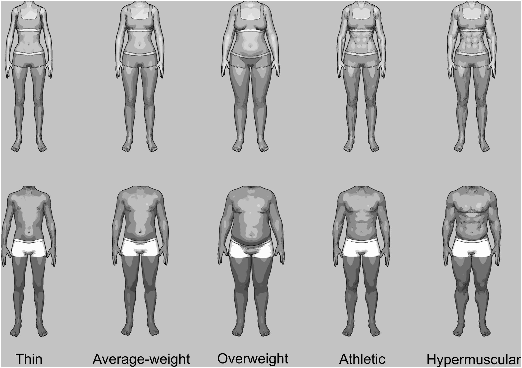 variability-in-individual-users-body-shapes-and-sizes