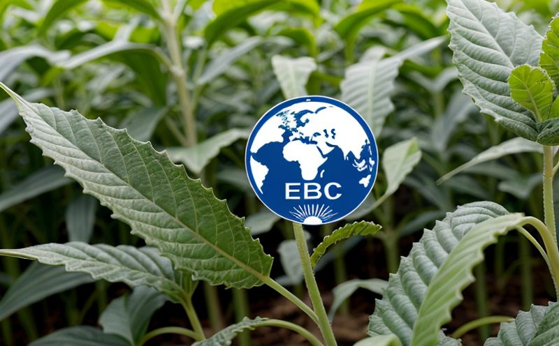 oecd-biosafety-protocols-for-gmo-risk-assessment