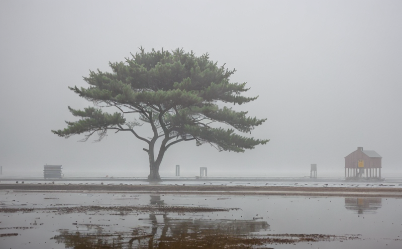 astm-b117-salt-spray-fog-testing-for-corrosion-resistance