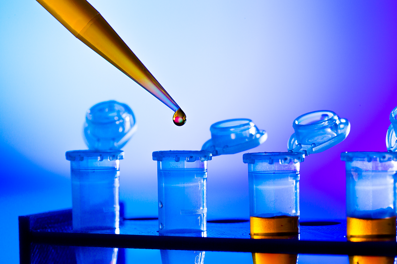 eu-regulation-no-18292003-gmo-testing-compliance-for-food-imports