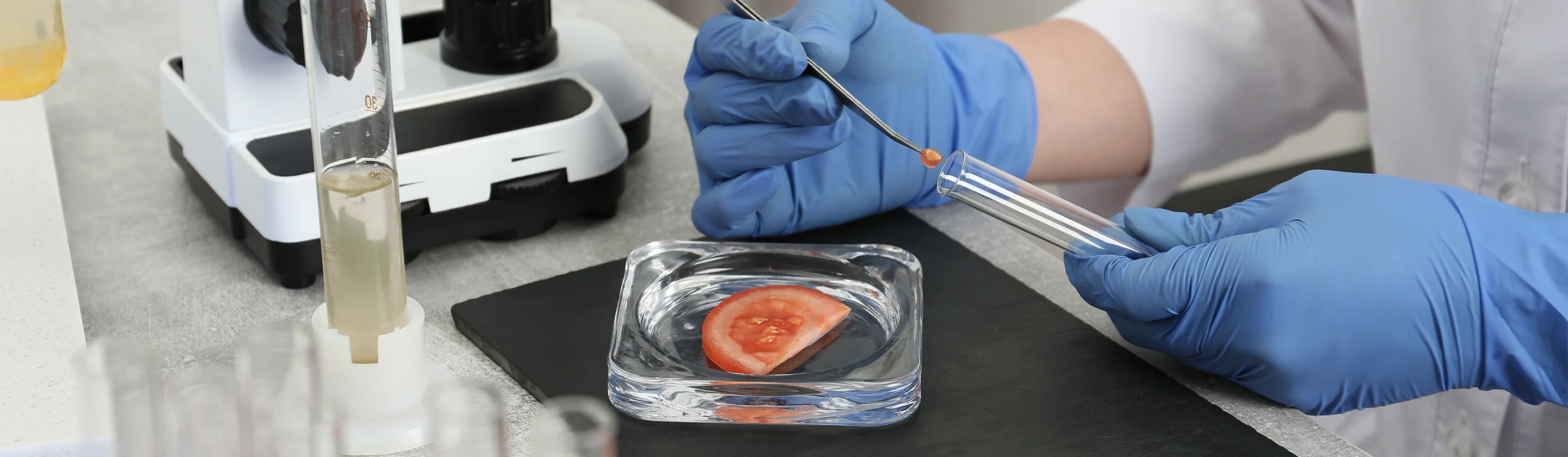 eu-reference-laboratory-protocol-for-gmo-testing-in-imported-foods