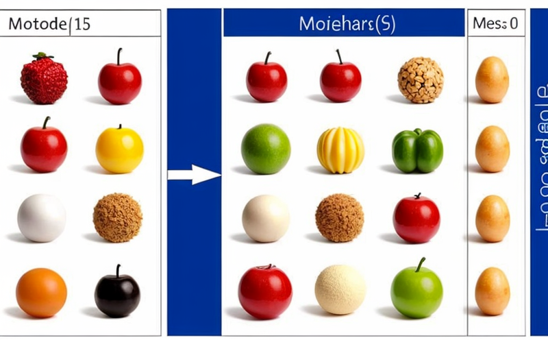 mathematical-models-for-physical-changes-in-foods