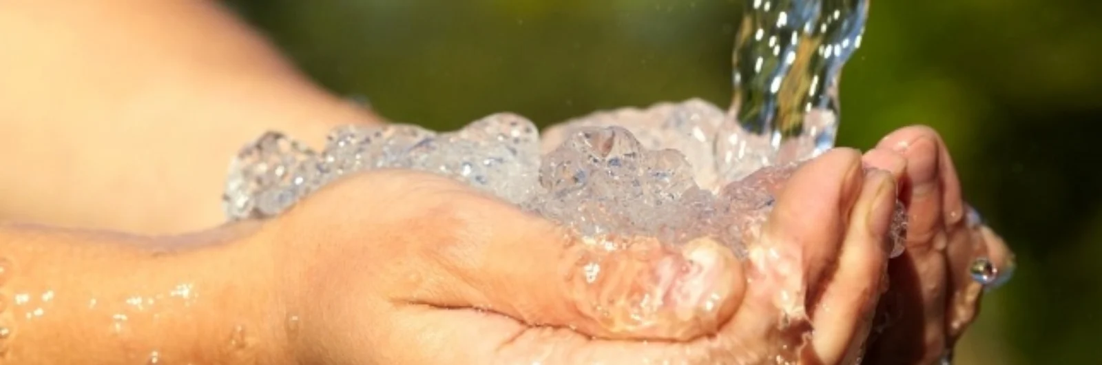 water-absorption-retention-capacity
