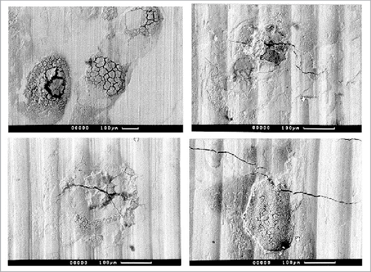 crack-initiation-under-load-induced-stresses