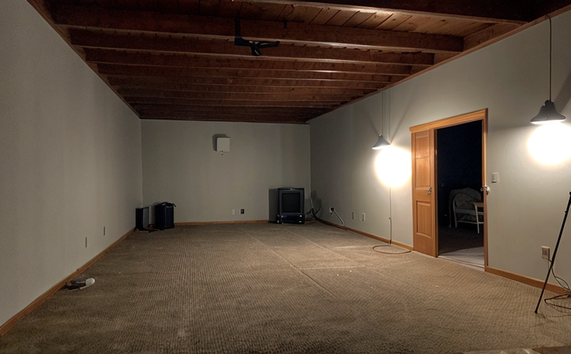 low-light-or-diffused-light-performance-testing