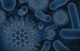 epa-method-1682-analysis-of-enteric-viruses