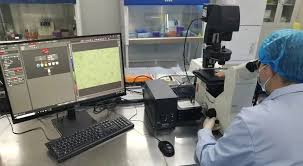 en-iso-10993-11-systemic-toxicity