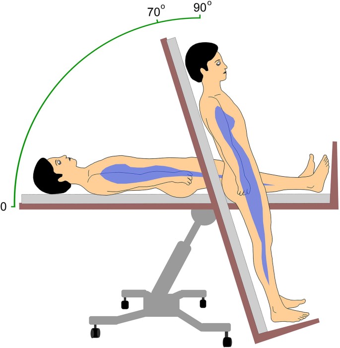 evaluating-the-effects-of-weight-distribution-on-tilt-risk