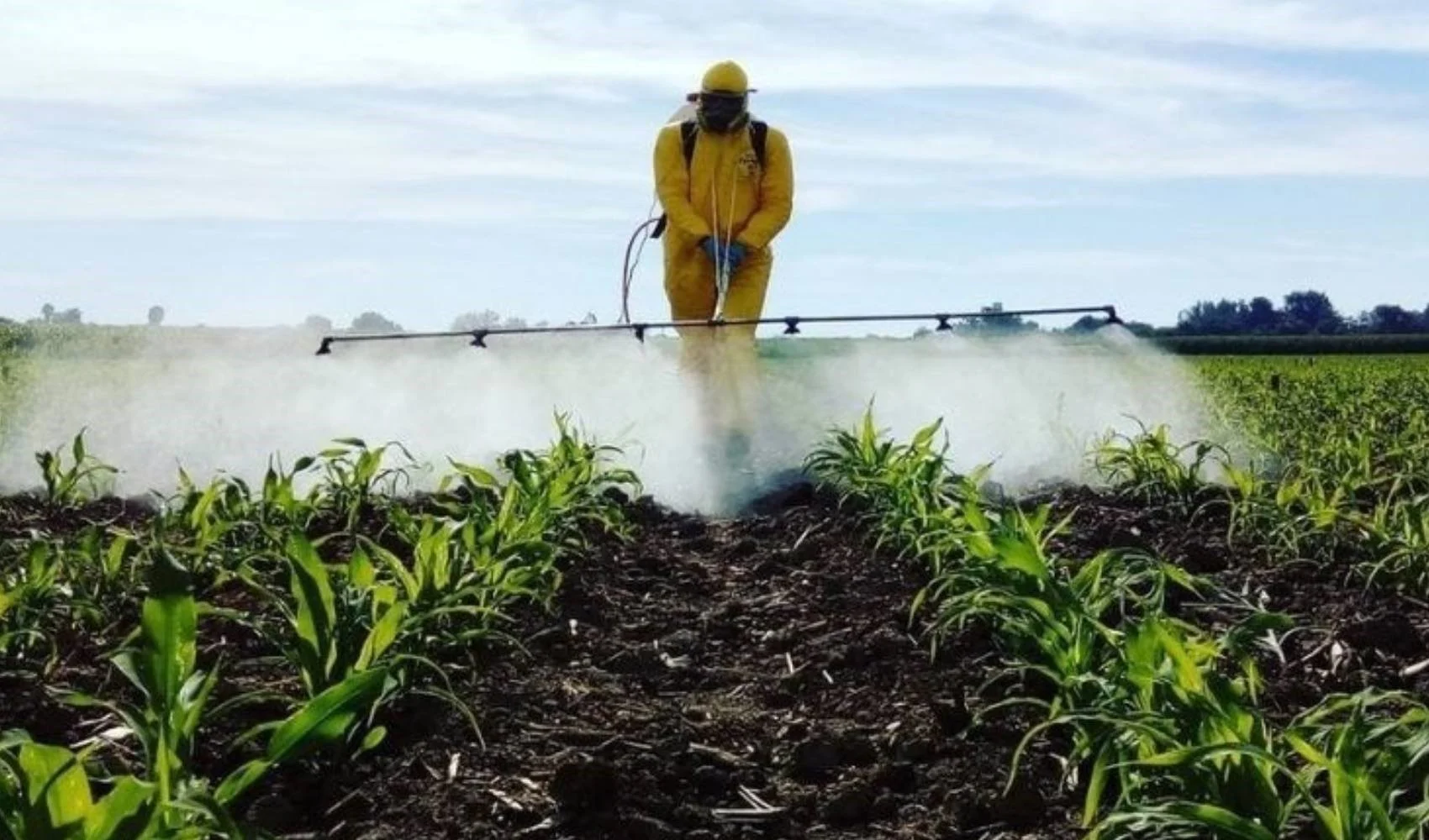 neurological-effects-of-pesticides