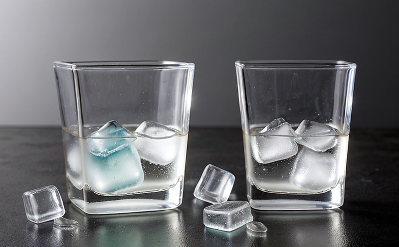 ec-20732005-microbial-testing-of-ice-cubes