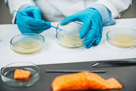ec-20732005-microbiological-criteria-for-minced-meat
