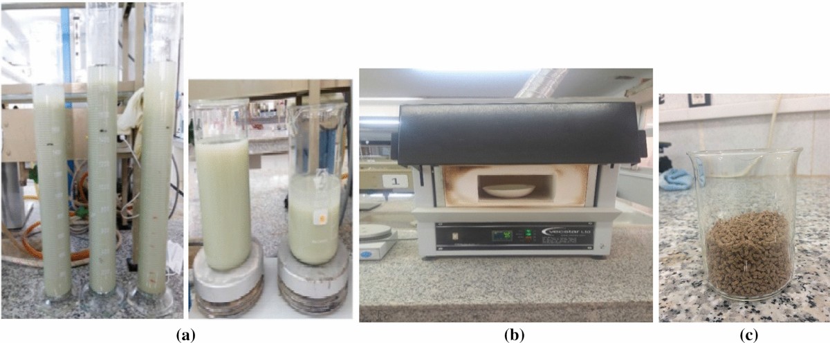 astm-d5465-fecal-streptococci-detection-in-industrial-effluent-samples