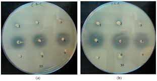 iso-21150-detection-of-propionibacterium-acnes-in-industrial-creams-and-gels